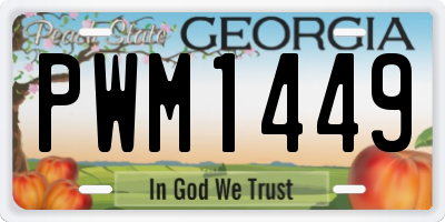 GA license plate PWM1449