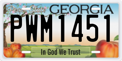 GA license plate PWM1451
