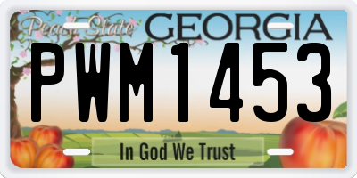 GA license plate PWM1453