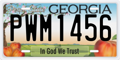 GA license plate PWM1456