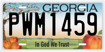 GA license plate PWM1459