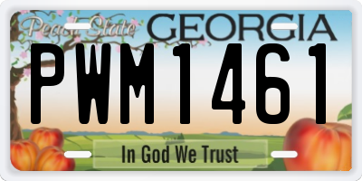 GA license plate PWM1461
