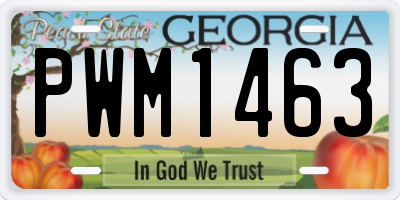 GA license plate PWM1463