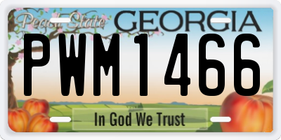 GA license plate PWM1466
