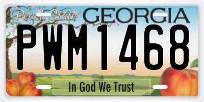 GA license plate PWM1468