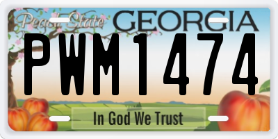 GA license plate PWM1474