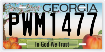 GA license plate PWM1477