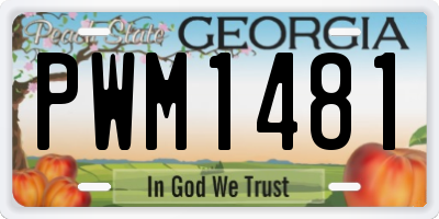 GA license plate PWM1481