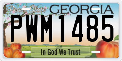 GA license plate PWM1485