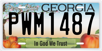 GA license plate PWM1487