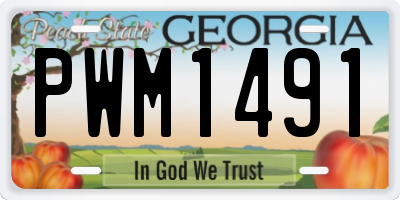 GA license plate PWM1491