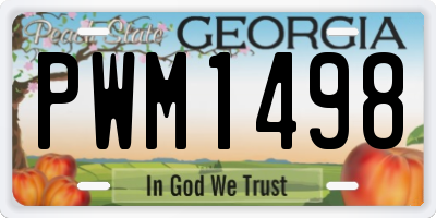 GA license plate PWM1498