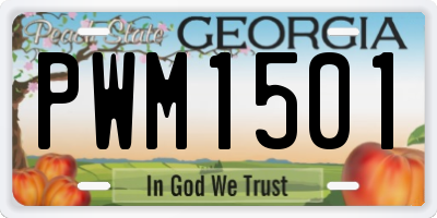 GA license plate PWM1501