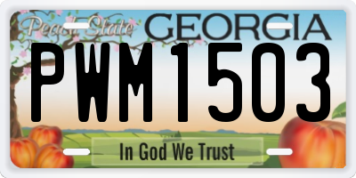 GA license plate PWM1503
