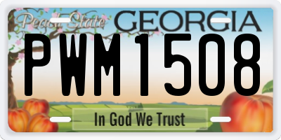GA license plate PWM1508