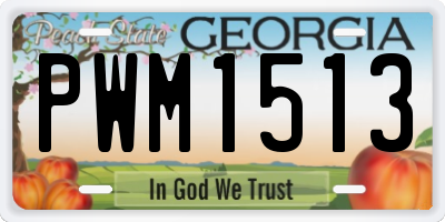 GA license plate PWM1513