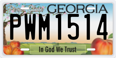 GA license plate PWM1514