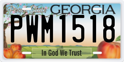 GA license plate PWM1518