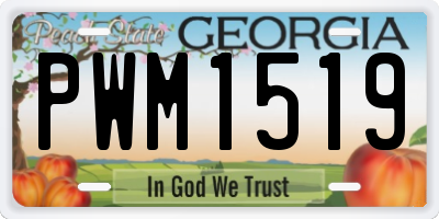 GA license plate PWM1519