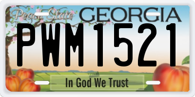 GA license plate PWM1521