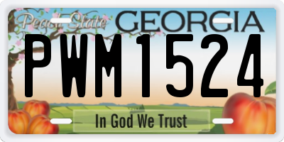 GA license plate PWM1524
