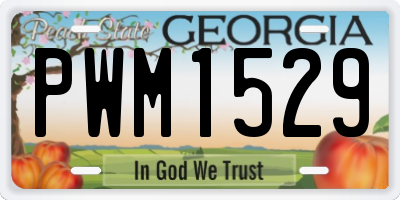 GA license plate PWM1529