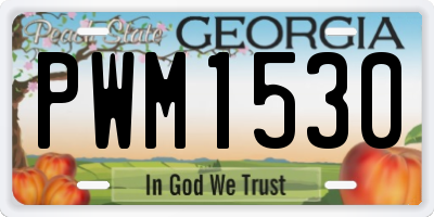 GA license plate PWM1530