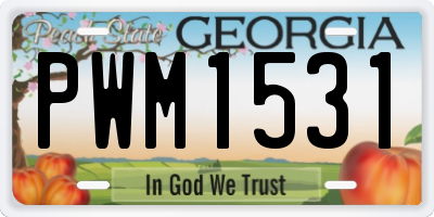 GA license plate PWM1531
