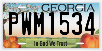 GA license plate PWM1534