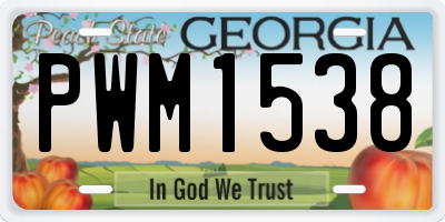 GA license plate PWM1538