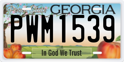 GA license plate PWM1539