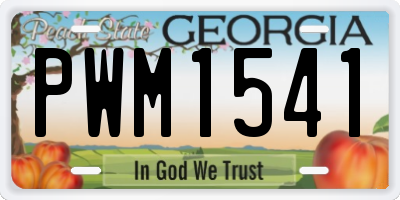 GA license plate PWM1541
