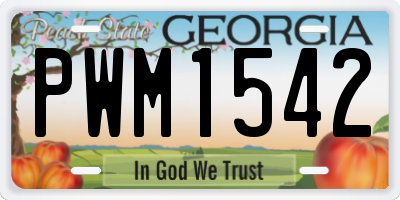 GA license plate PWM1542