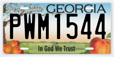 GA license plate PWM1544