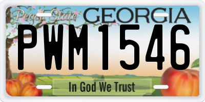 GA license plate PWM1546