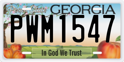 GA license plate PWM1547