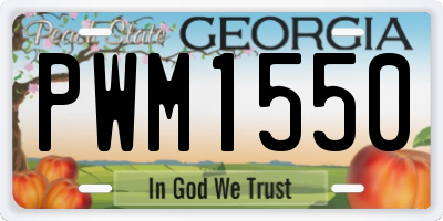 GA license plate PWM1550