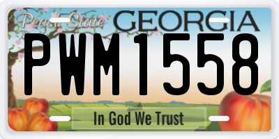 GA license plate PWM1558
