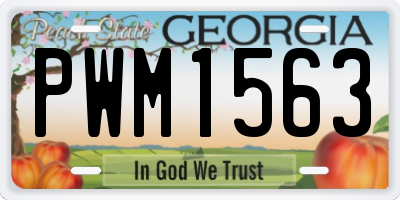 GA license plate PWM1563