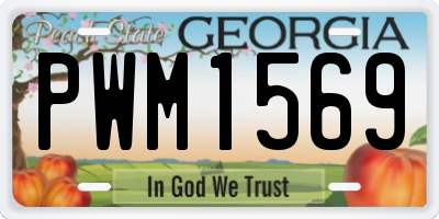 GA license plate PWM1569