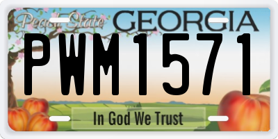 GA license plate PWM1571