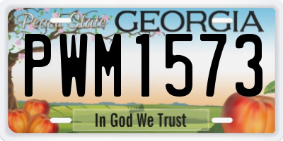 GA license plate PWM1573