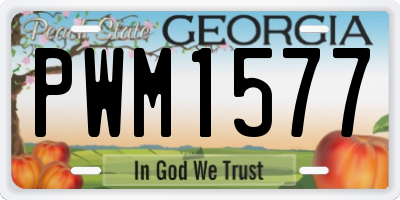 GA license plate PWM1577