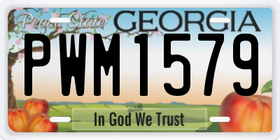 GA license plate PWM1579