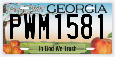 GA license plate PWM1581