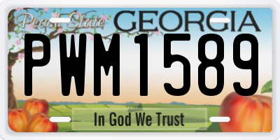 GA license plate PWM1589