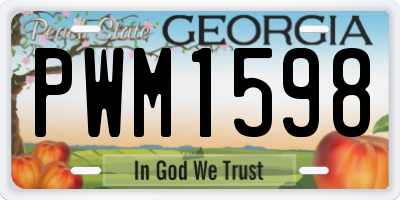 GA license plate PWM1598
