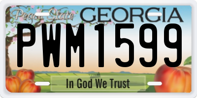 GA license plate PWM1599