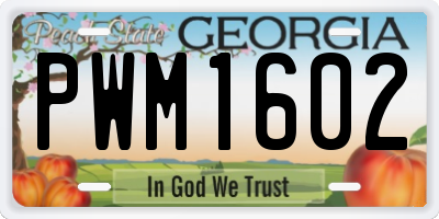 GA license plate PWM1602