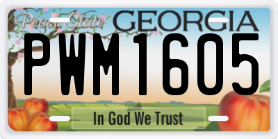 GA license plate PWM1605